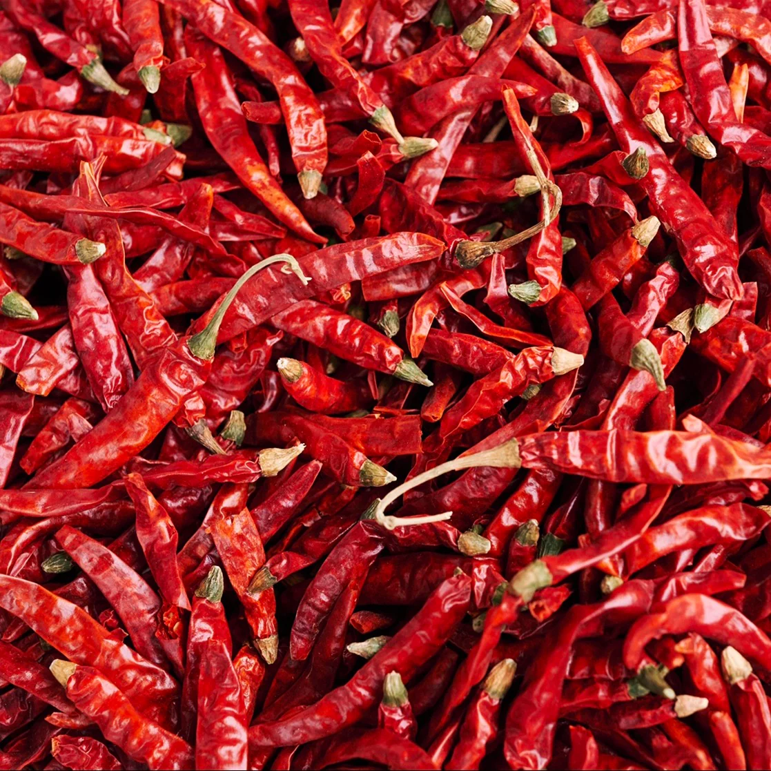 Erjingtiao Chilis - Image 3